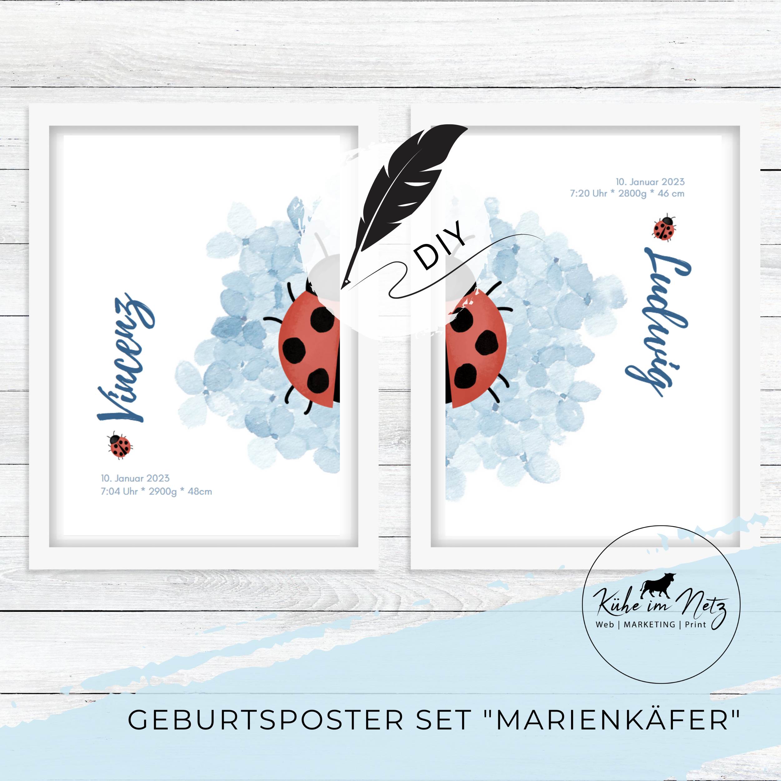 Geburtsposter Set "Marienkäfer" ***PERSONALISIERT*** – Bild 2