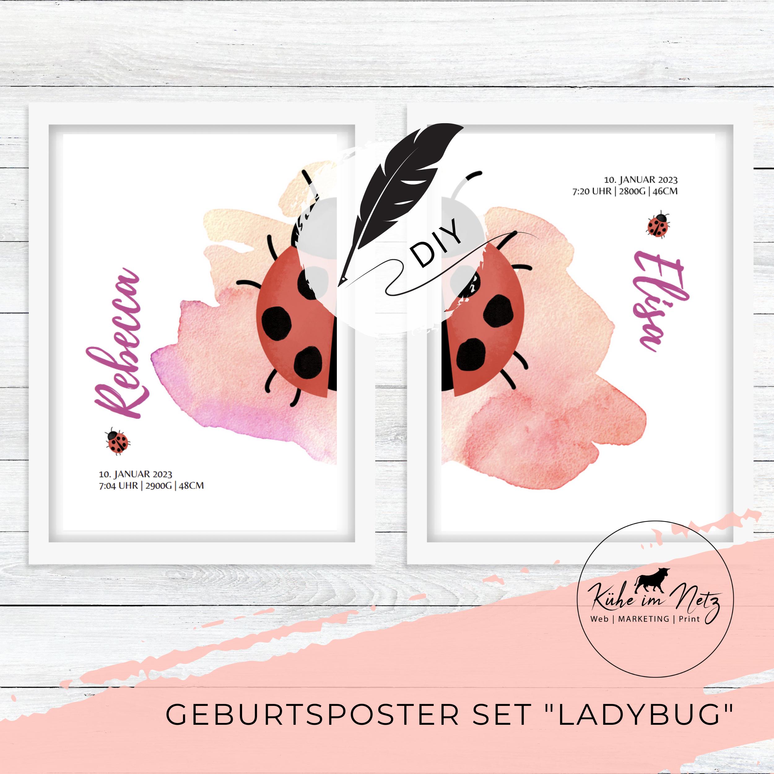 Geburtsposter Set "Ladybug" ***PERSONALISIERT*** – Bild 2