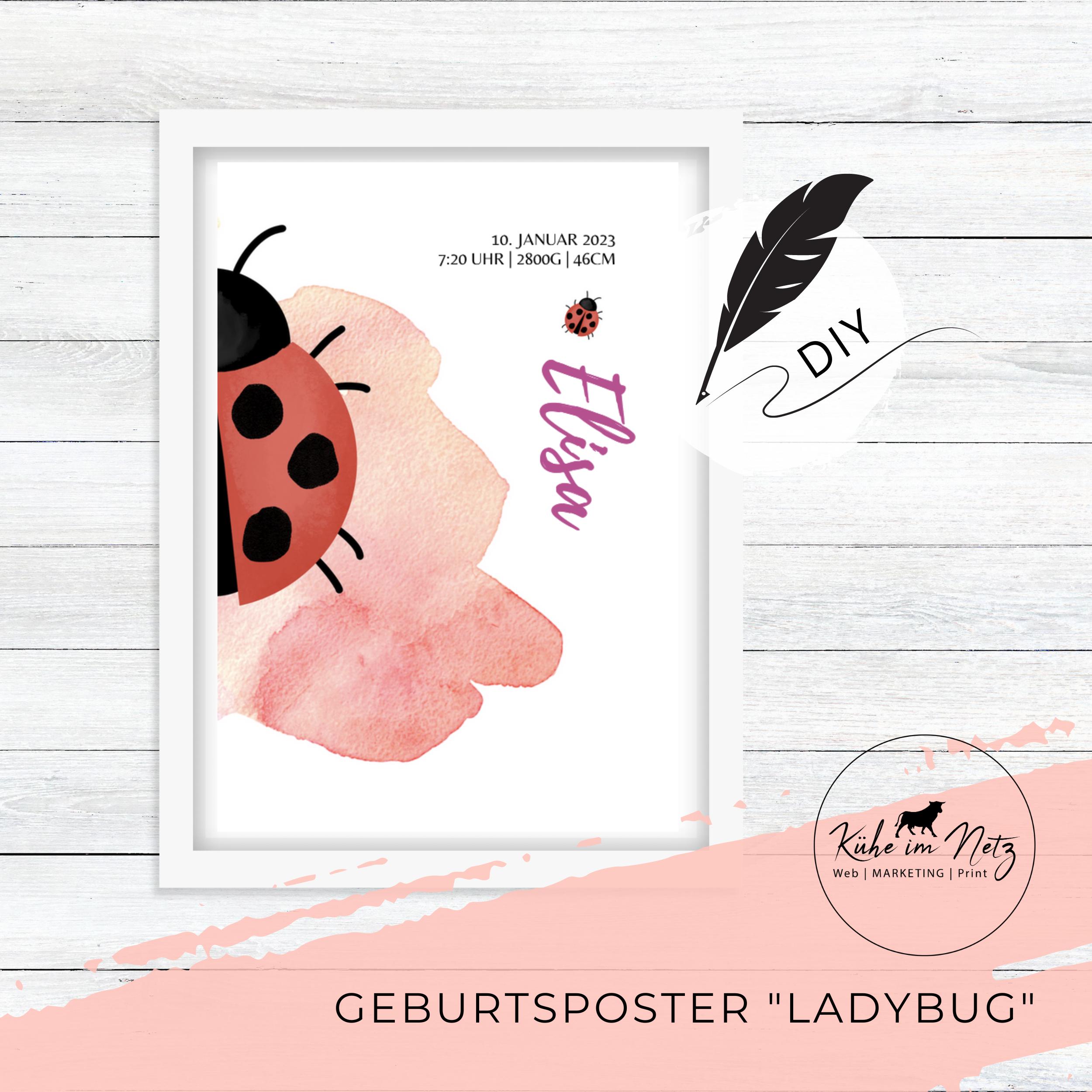 Geburtsposter "Ladybug" ***PERSONALISIERT*** – Bild 4